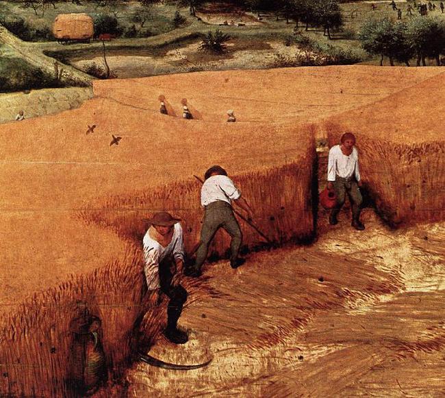 Pieter Bruegel the Elder The Corn Harvest Germany oil painting art